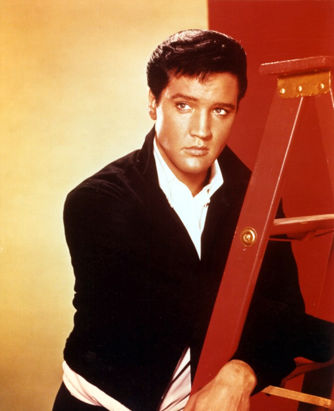 Elvis Presley In A Portrait