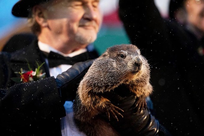Groundhog Day, Punxsutawney, USA – 02 Feb 2020