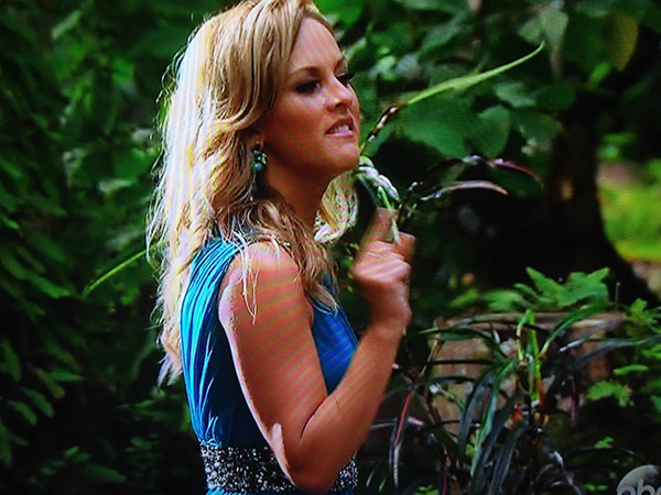 the-bachelor-finale-gallery-95