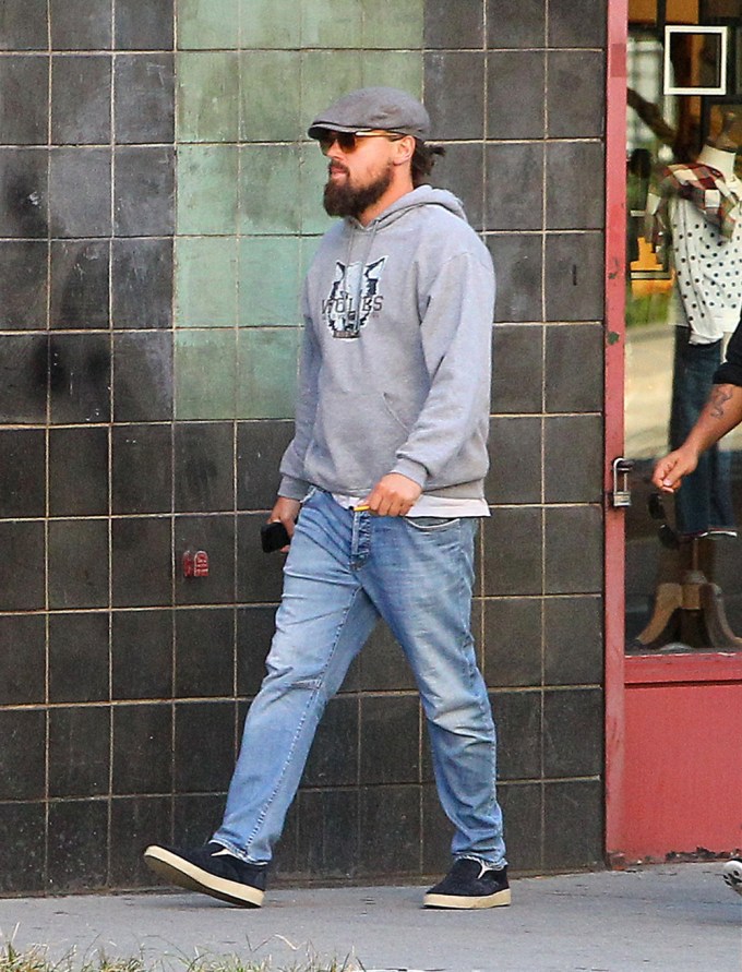 Leonardo DiCaprio In 2014