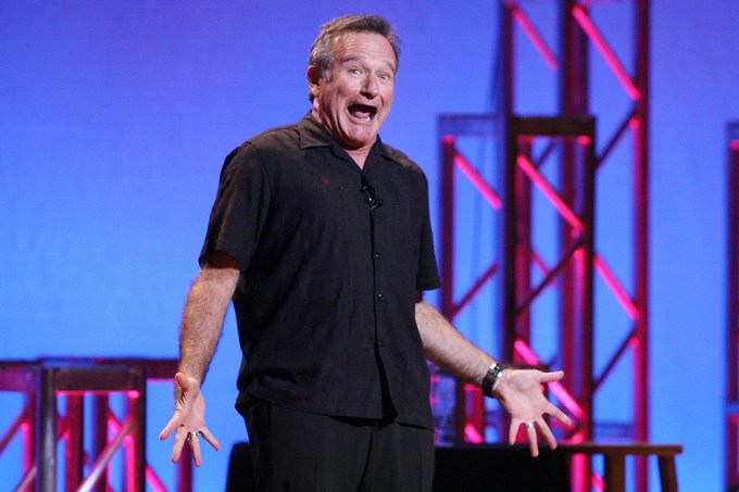Robin Williams during his ‘Weapons of Self Destruction’ concert