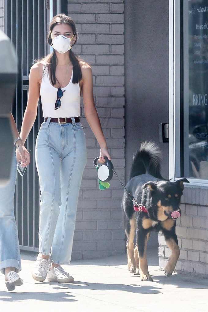Emily Ratajkowski Rocks Mom Jeans On A Dog Walk