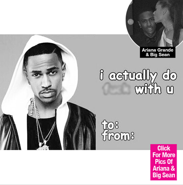 PIC] Ariana Grande's Big Sean Valentine's Day Card: Singer Posts Funny Meme  – Hollywood Life