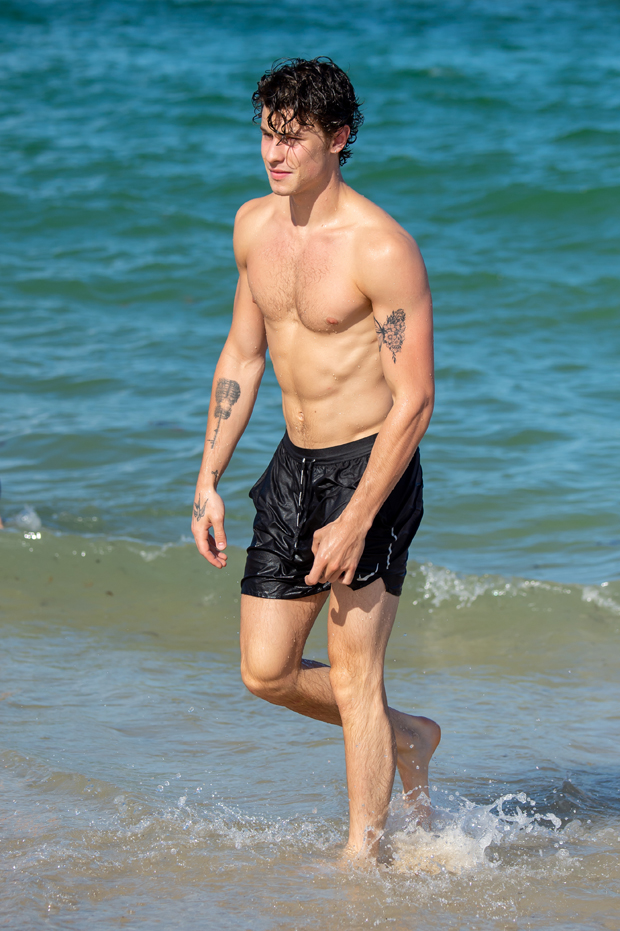 Shawn Mendes hits a Miami beach with Camila Cabello