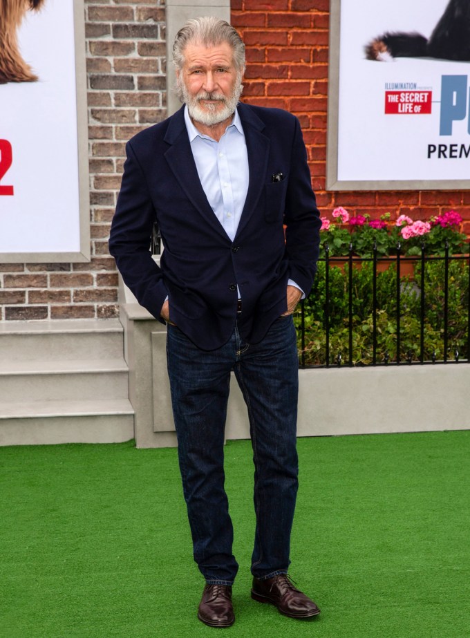 Harrison Ford Attends The Premiere Of ‘The Secret Life of Pets 2’