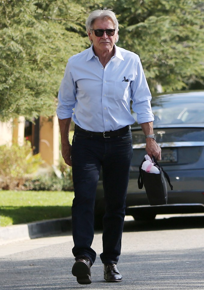 Harrison Ford In 2018