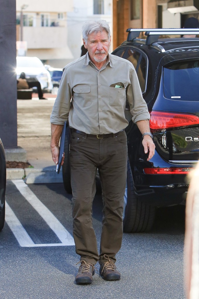Harrison Ford In 2017