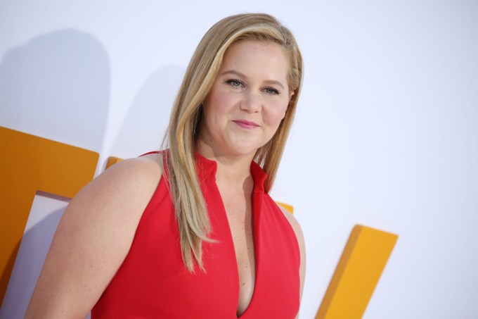 Amy Schumer: Photos Of The Comic