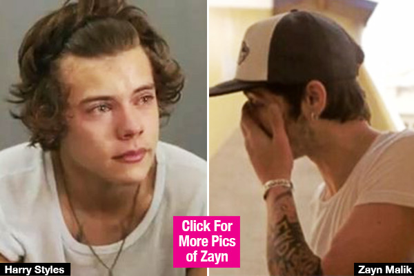 Harry Styles & Zayn Malik's Phone Call Before Zayn Quit One Direction –  Hollywood Life