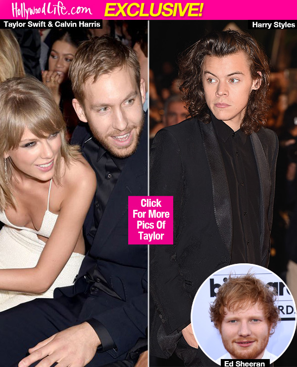 Calvin Harris, Harry Styles & Taylor Swift Friendship: Ed Sheeran Trying To  Unite Them – Hollywood Life