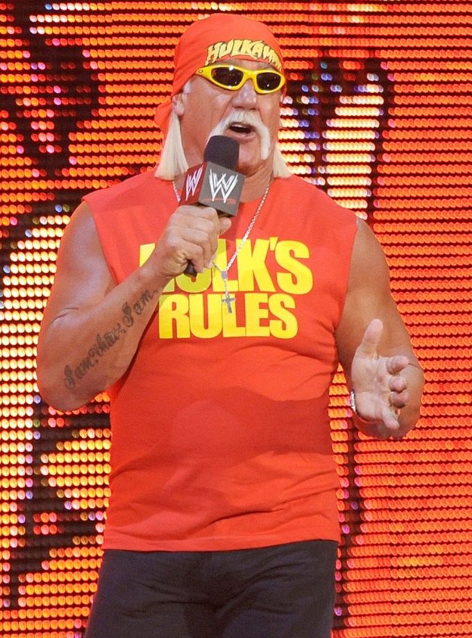 Hulk Hogan Makes an Appearance at Summer Slam