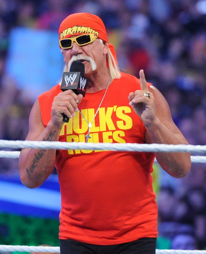 Hulk Hogan in the Ring During Wrestlemania 30
