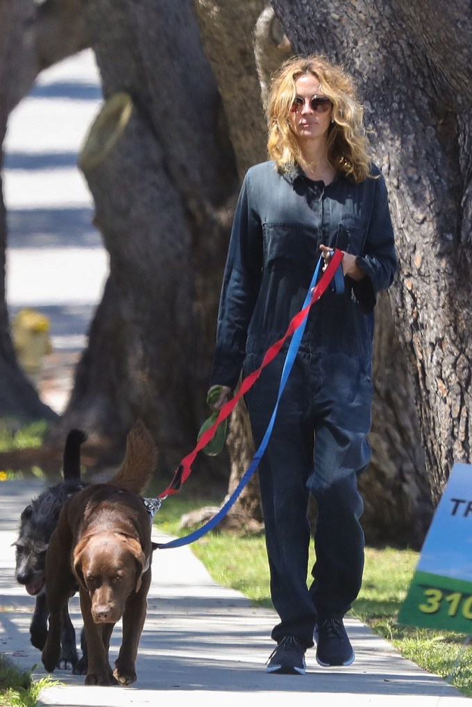 Julia Roberts Walks Her Dogs
