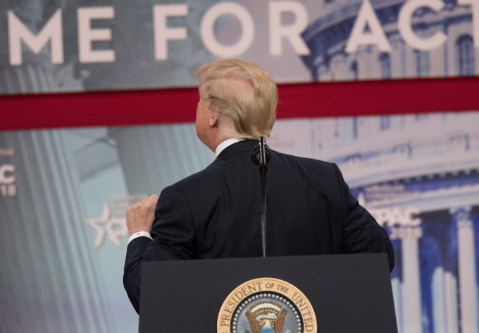 Donald Trump Bares His Baldness