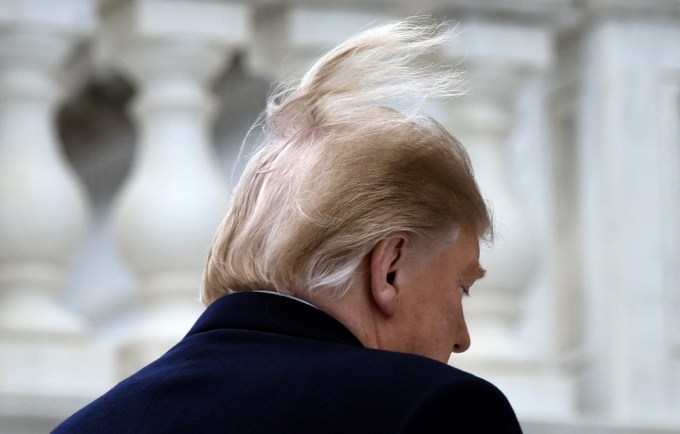 It’s Not An Outtake From A Flock Of Seagulls Photoshoot