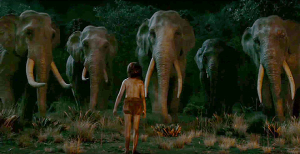 the-jungle-book-movie-live-action-pics-8