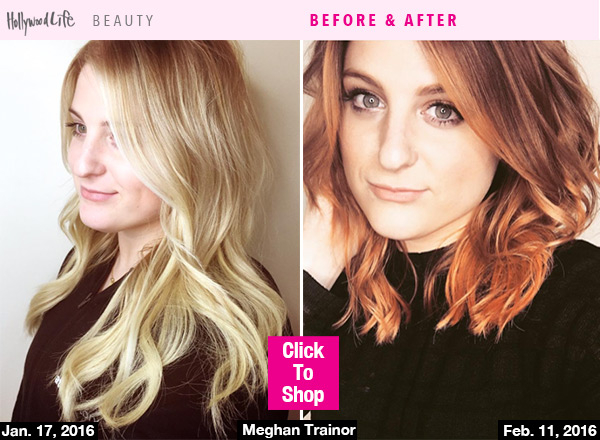 Meghan Trainor's New Hair — See Her Cut & Color Transformation – Hollywood  Life