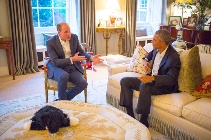 Prince William And President Obama Talk International Affairs