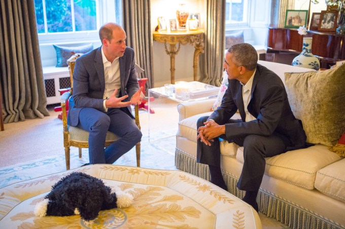 President Obama And Prince William In Conversation In England