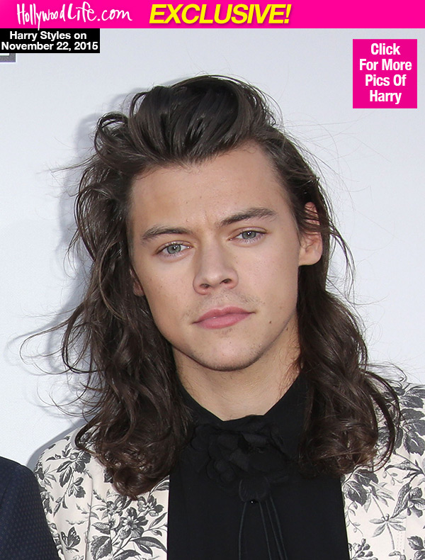 Harry Styles' Haircut: What He Misses About His Long Hair After Chopping It  Off – Hollywood Life