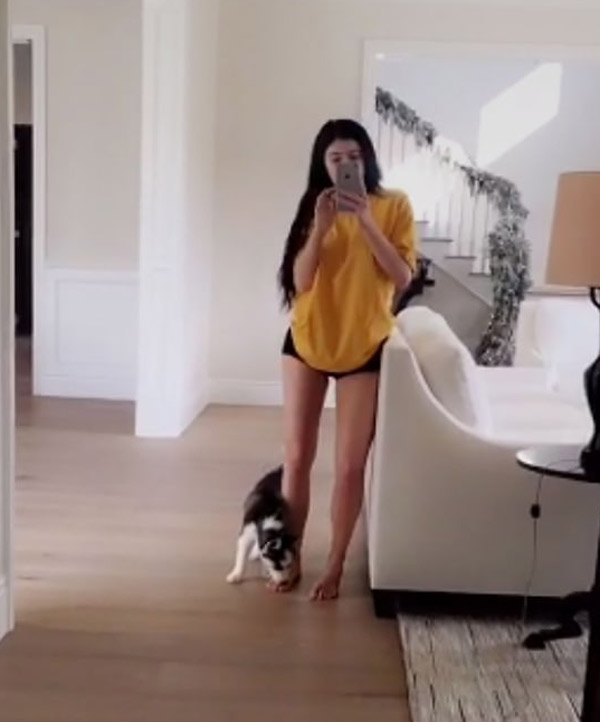 kylie-jenner-adds-another-puppy-to-the-kardashian-fam-ftr