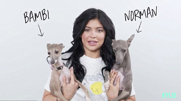 kylie-jenner-bambi-and-norman