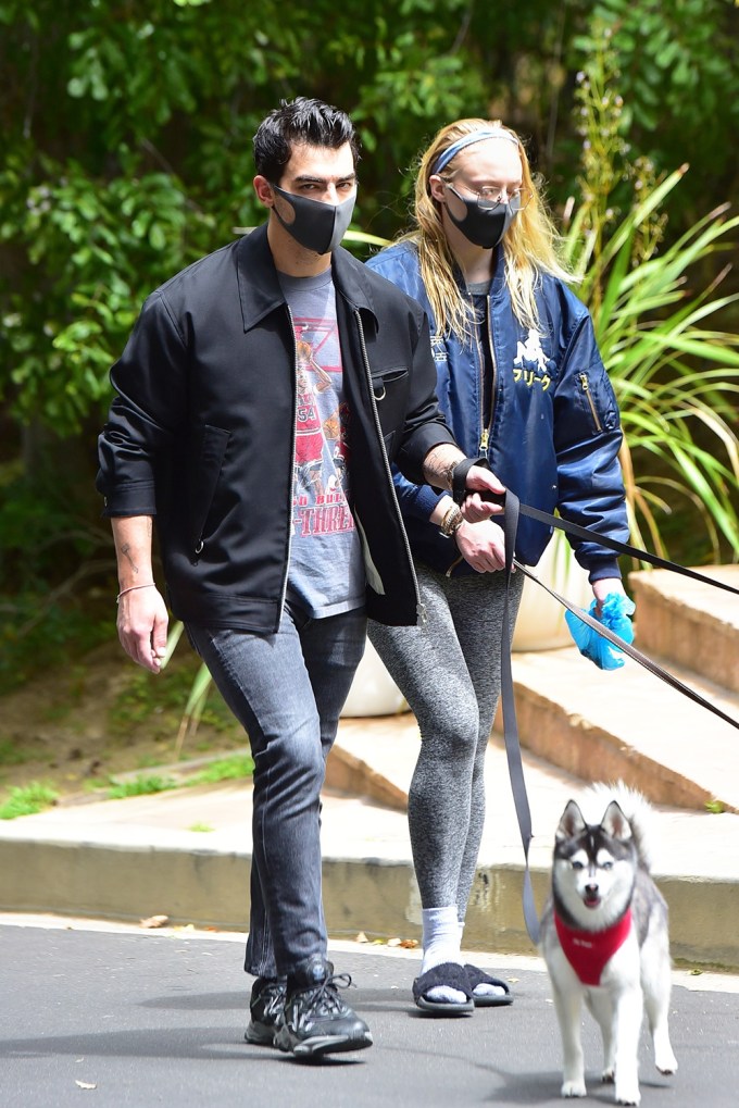 Sophie Turner & Joe Jonas Walk Their Dogs