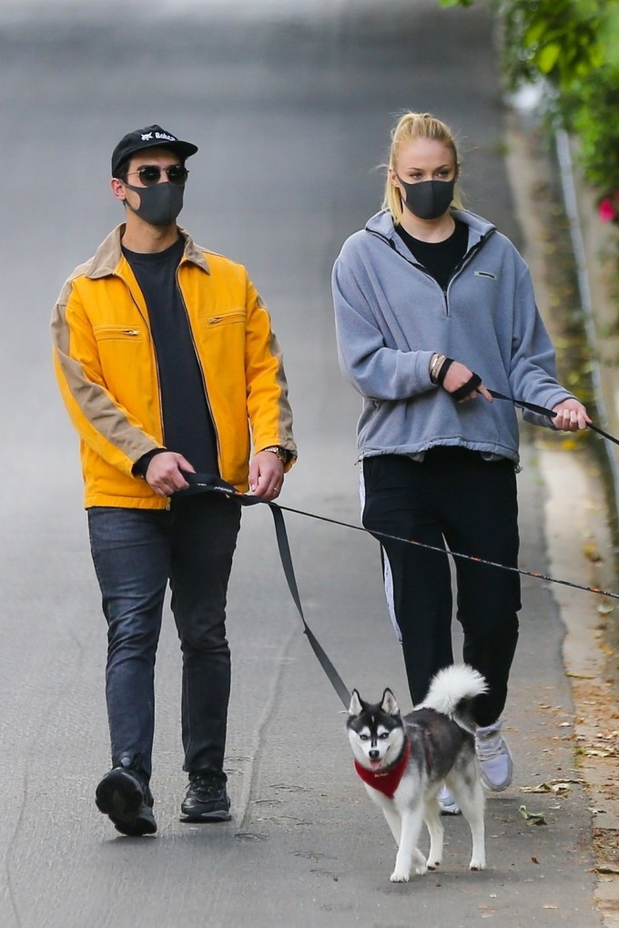 Sophie Turner & Joe Jonas Walking Dogs Together