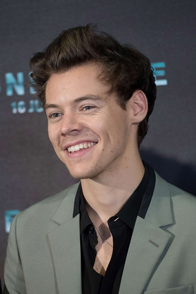 Harry Styles Cheesing At A Film Premiere