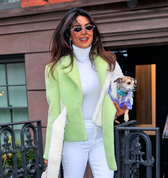 Priyanka Chopra with her dog in New York