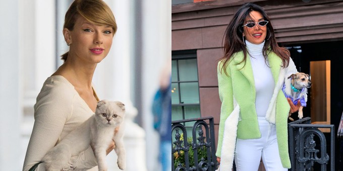 Celebrity Pets — Photos Of Stars With Their Cats & Dogs