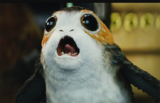 What Is A Porg? Everything You Have To Know About The Adorable ‘Star Wars’ Animal