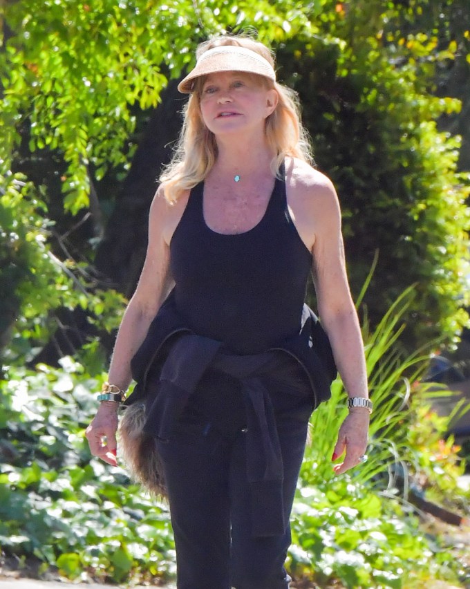 Goldie Hawn Leaves Her Daughter’s House