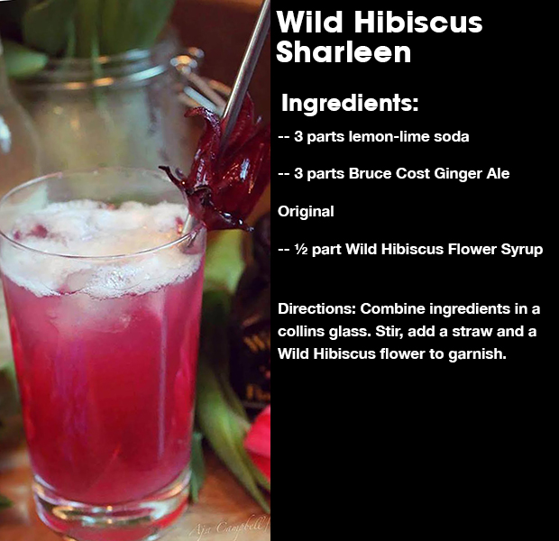 Wild Hibiscus Sharleen
