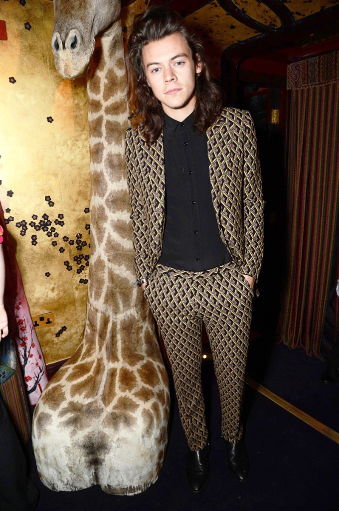 Harry Styles In A Patterned Suit