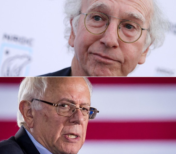 Bernie Sanders and Larry David