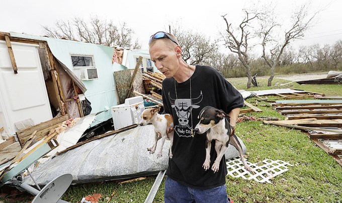Abandoned Pets In Hurricane Harvey
