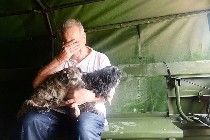 Abandoned Pets In Hurricane Harvey