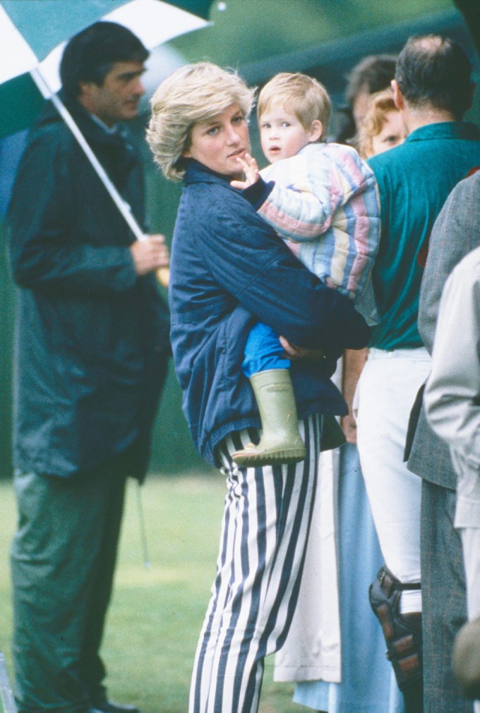 Princess Diana Holds A Young Prince Harry