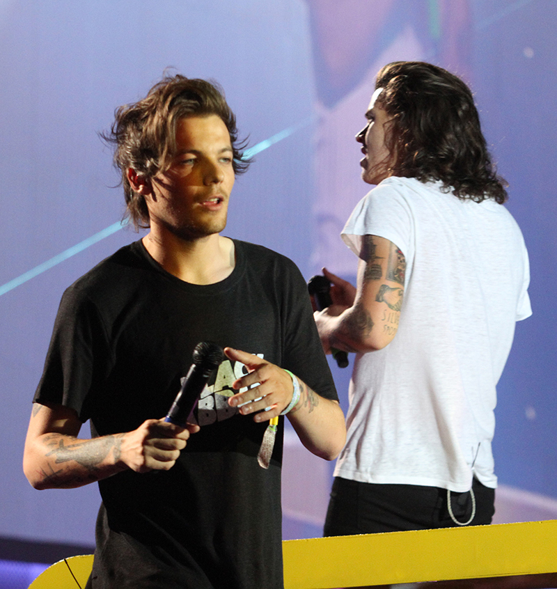 INTERVIEW] Louis Tomlinson & Harry Styles Bromance — One Direction Best  Friends – Hollywood Life