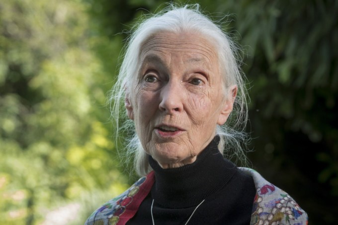 Hungary People Jane Goodall – May 2016
