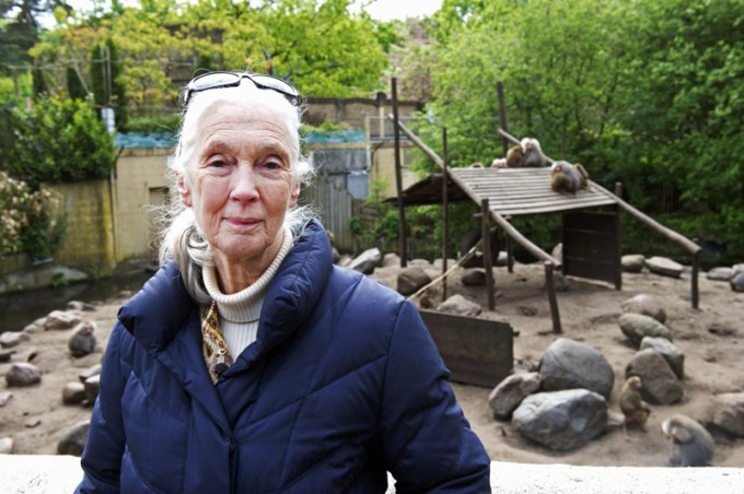 Netherlands Jane Goodall – May 2012