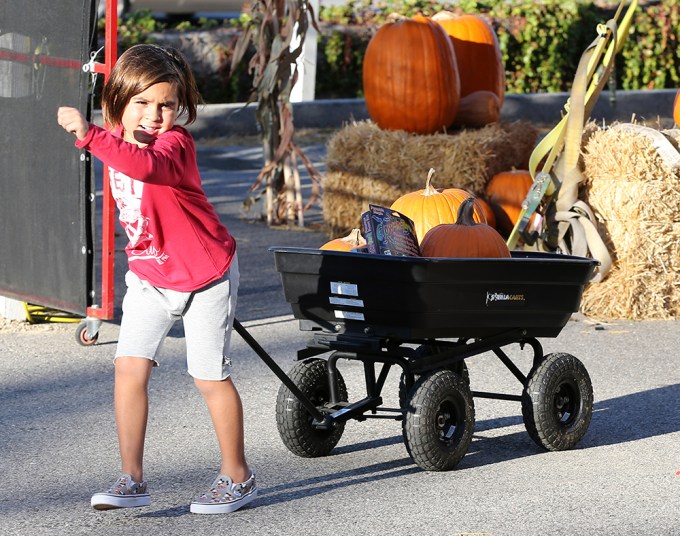 Mason Disick Pulls Pumpkins In A Wagon