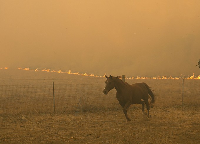 California Wildfires, Napa, USA – 09 Oct 2017