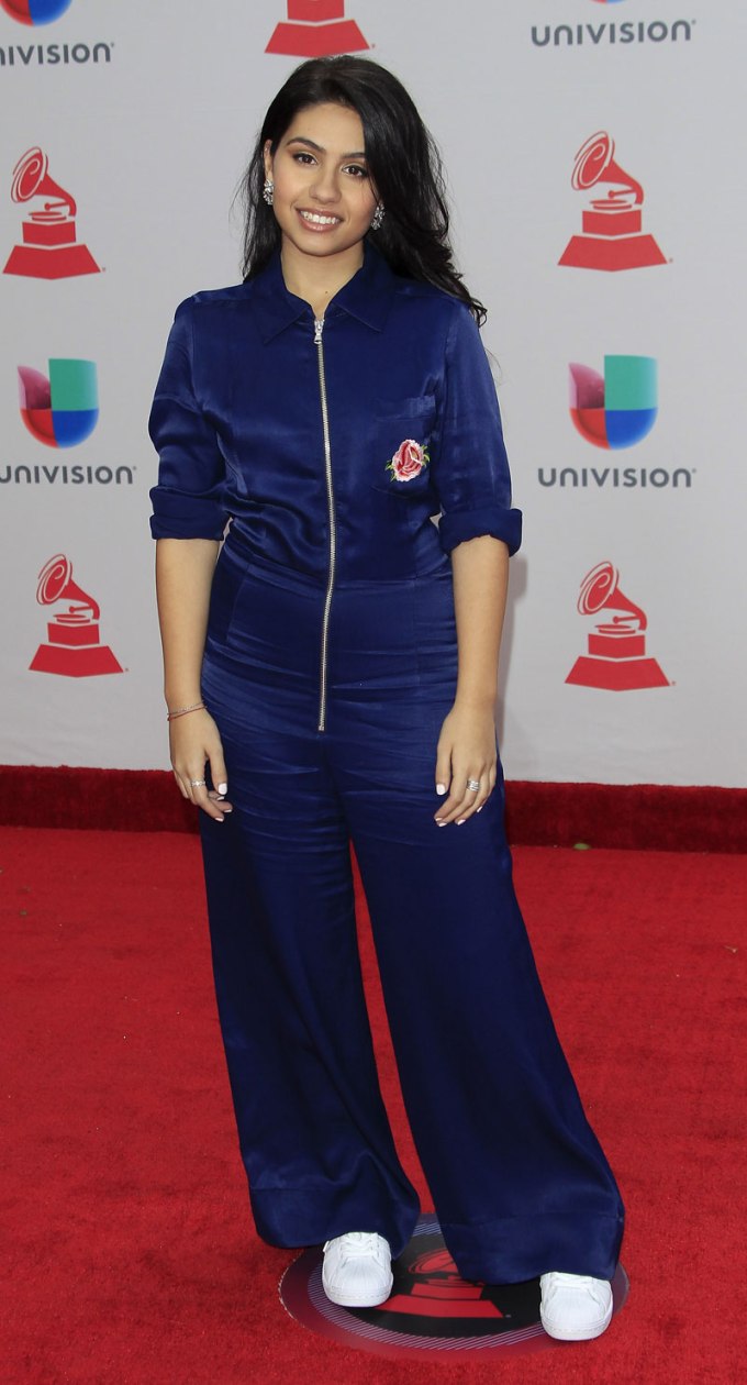 2017 Latin Grammy Awards Red Carpet