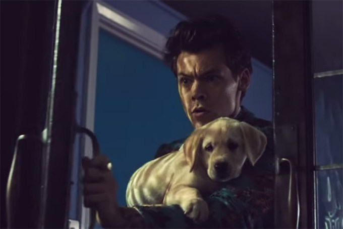Harry Styles’ ‘Kiwi’ Music Video