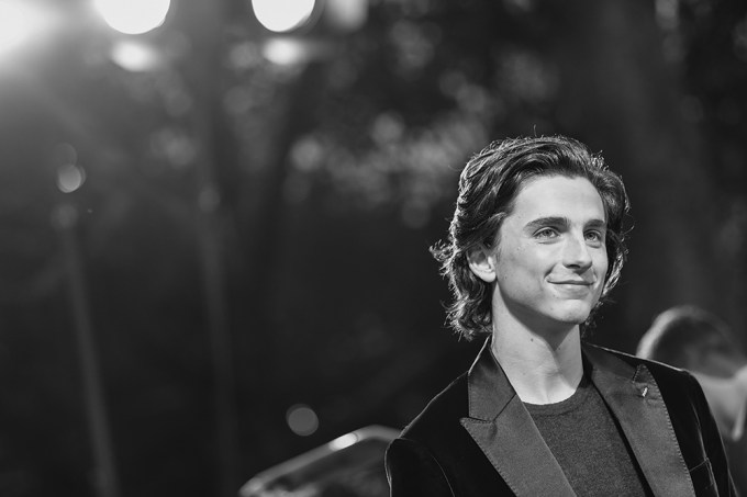 Timothee Chalamet At The ‘CMBYN’ Premiere