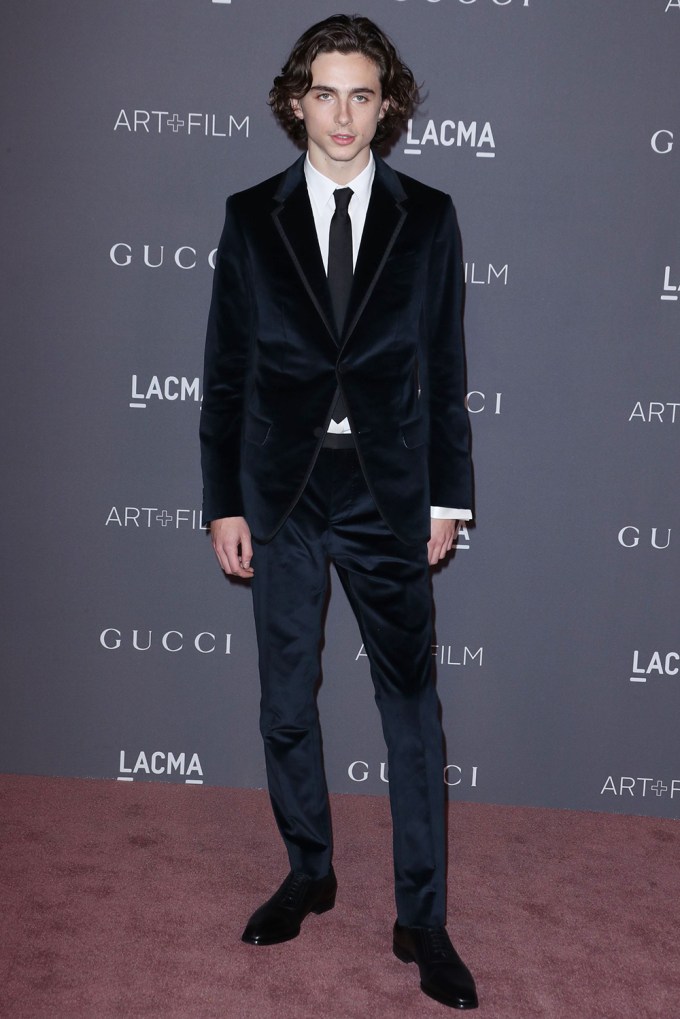 Timothee Chalamet At The LACMA Gala