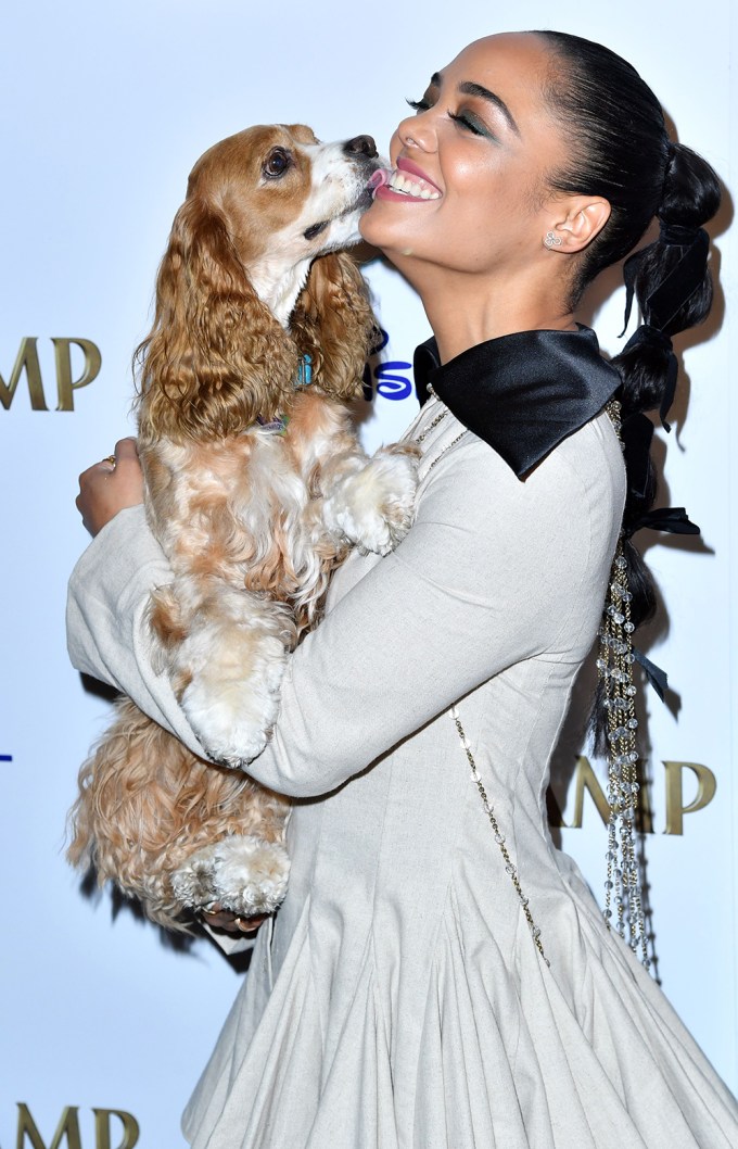 Tessa Thompson At ‘Lady and the Tramp’ Film Premiere