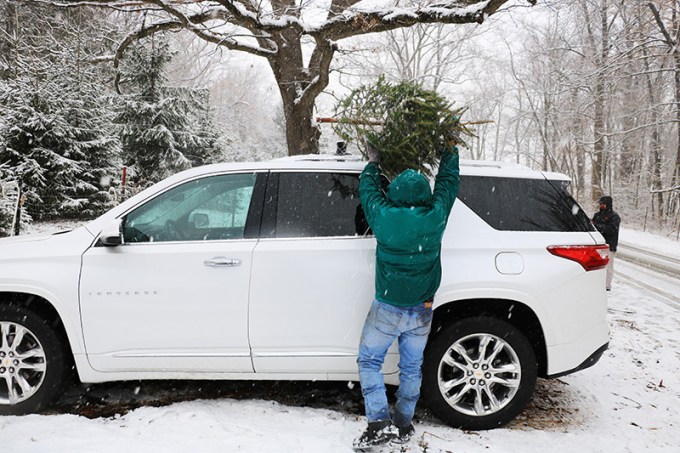 I Live In NYC & Still Cut Down My Own Christmas Tree: How You Can Make It A Tradition Too